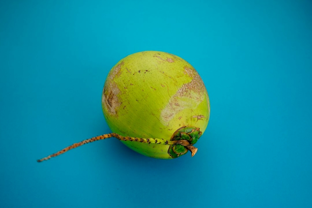 sprouted coconut apple