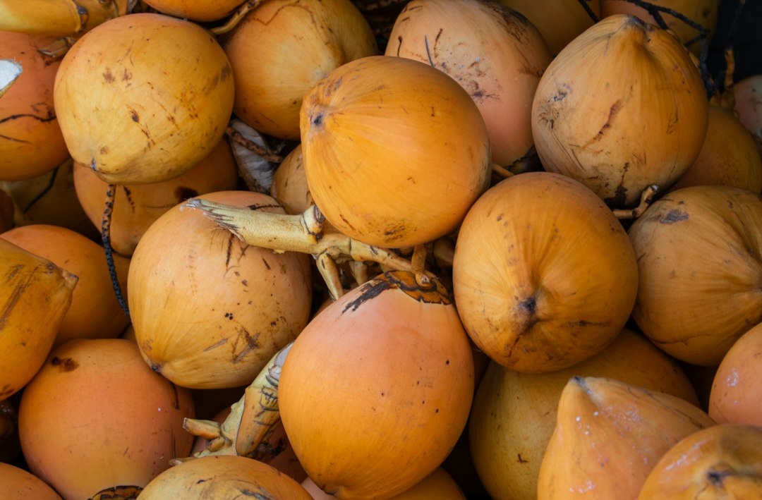sprouted coconut meat