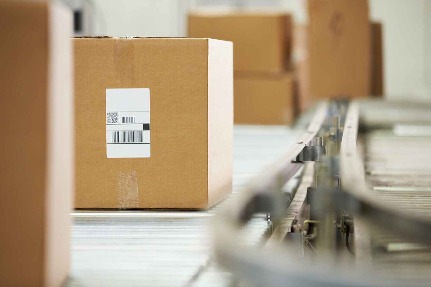Paper & Packaging Supplier | Fast Delivery, Flexible Orders