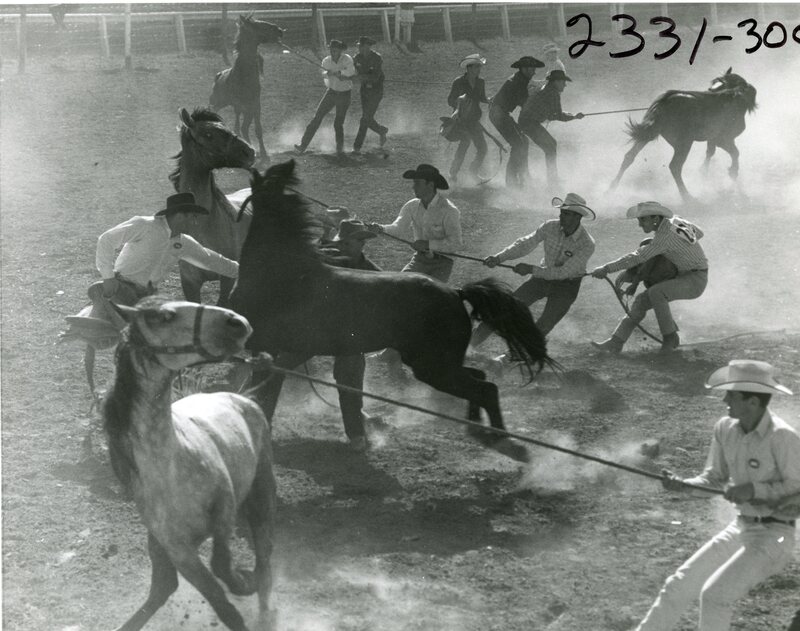 CS.1999.92.259 Wild Horse Roundup.jpg