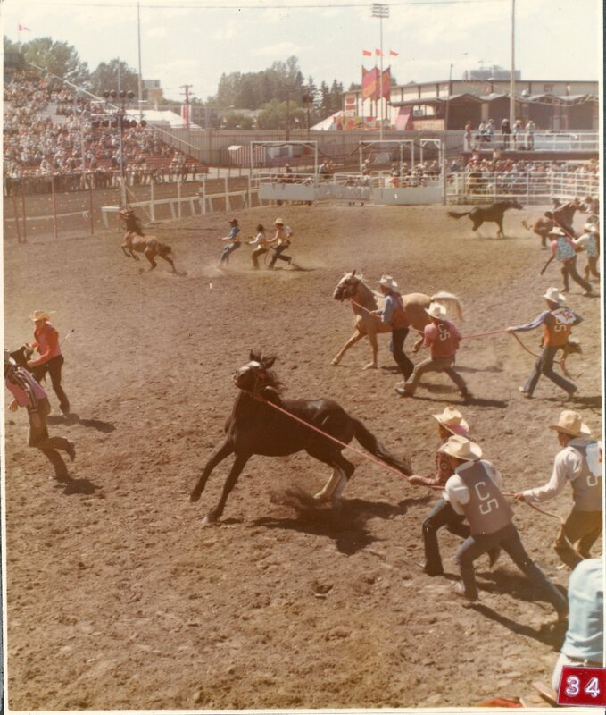 CS.1999.92.426b Wild Horse Race.jpg