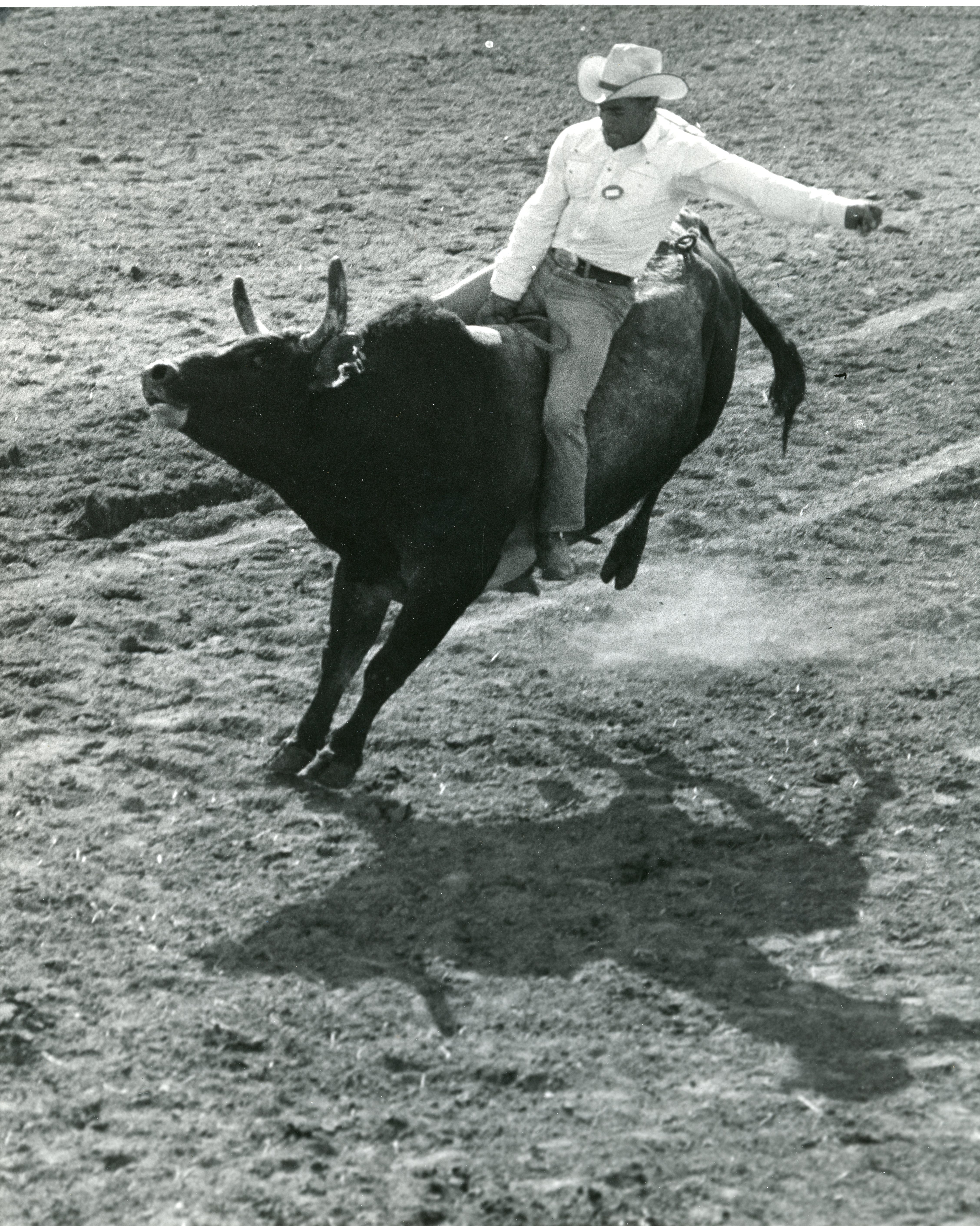 CS.1999.92.264a Bull Riding.jpg