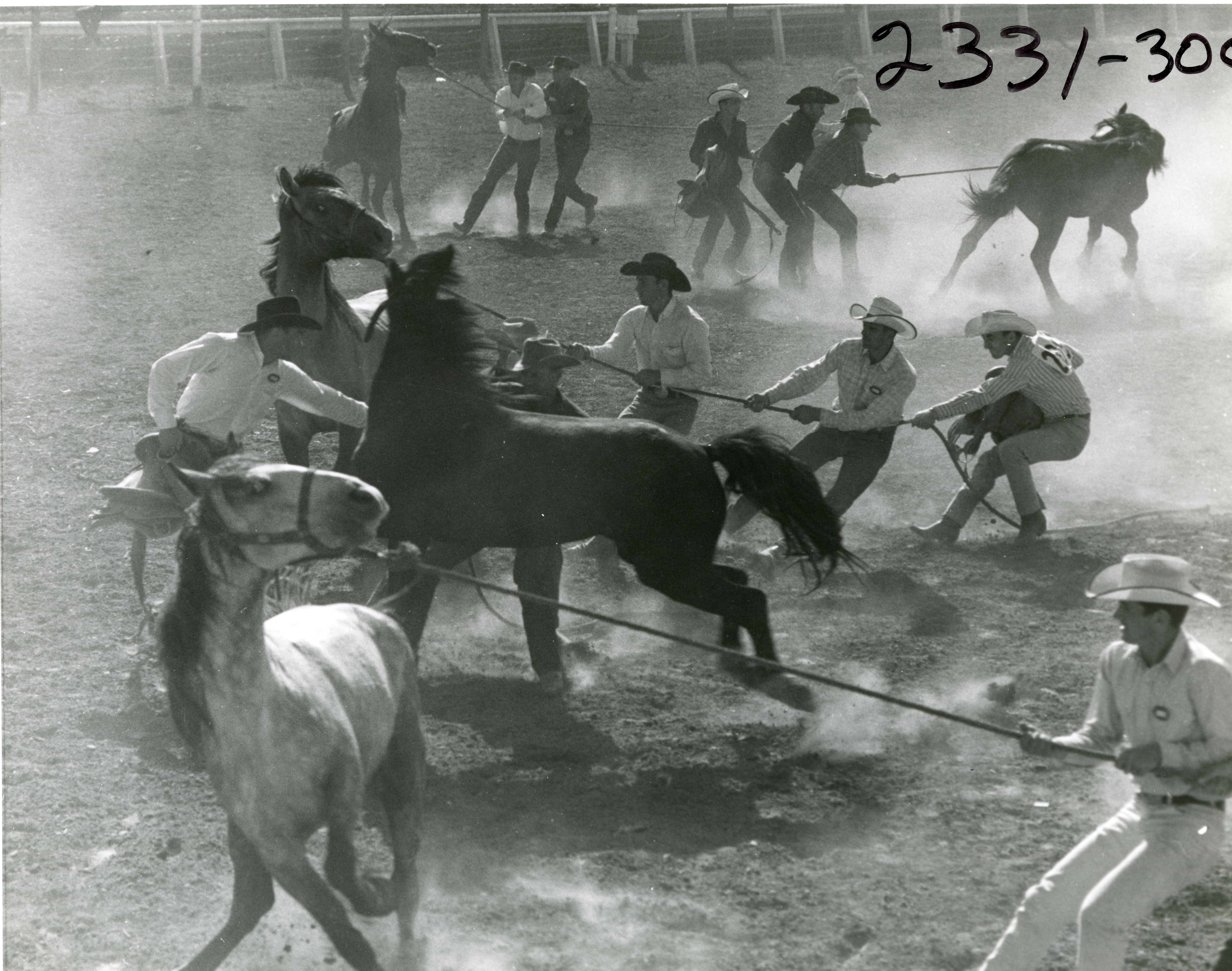 CS.1999.92.259 Wild Horse Roundup.jpg