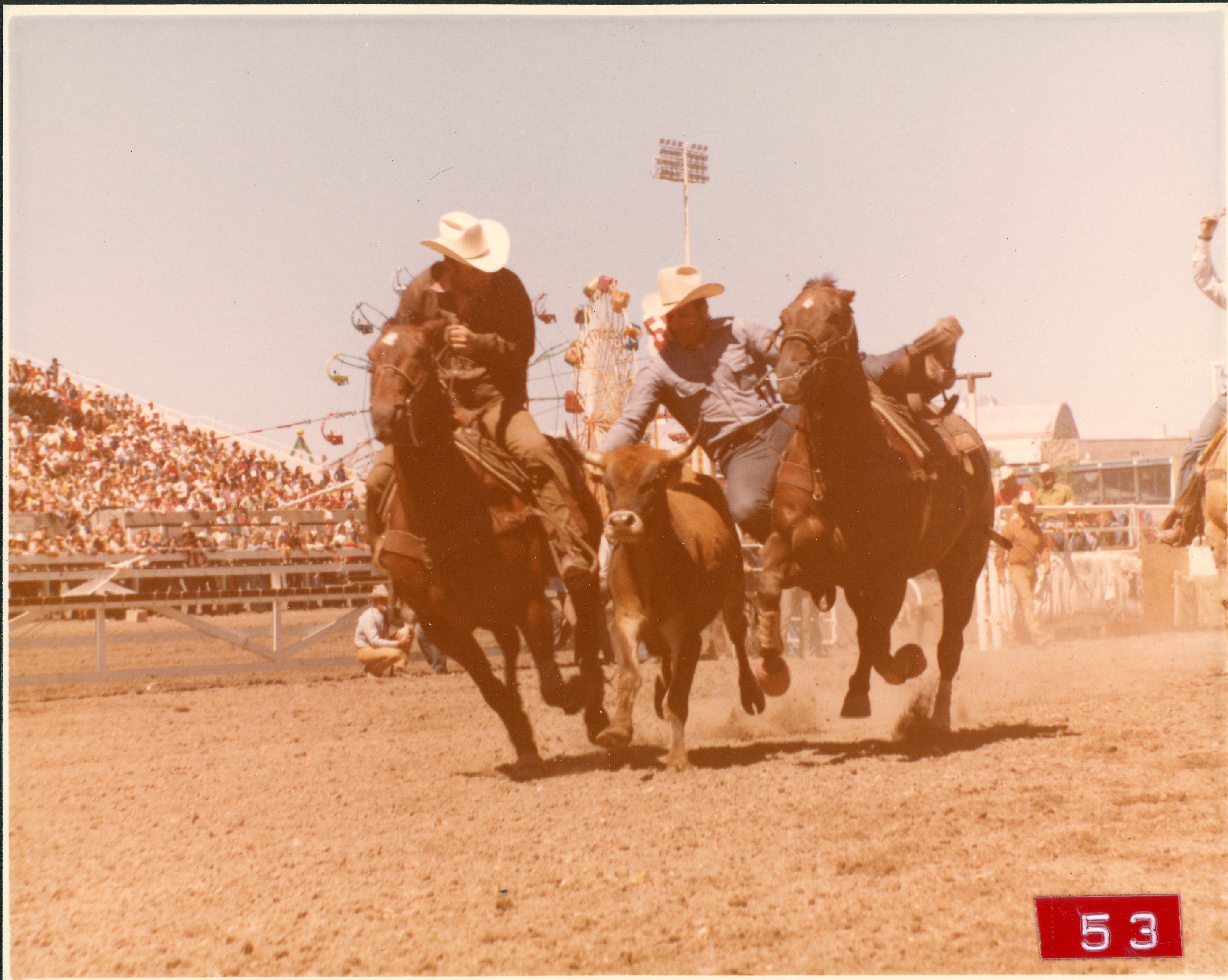 CS.1999.92.443e Steer Wrestling.jpg