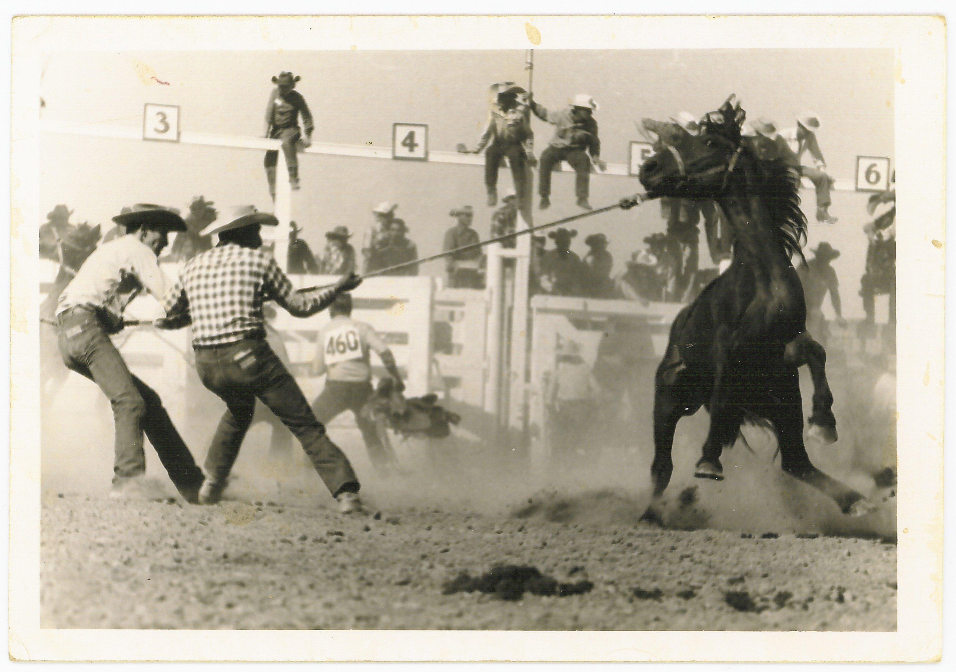 CS.2015.142.05 f.jpg