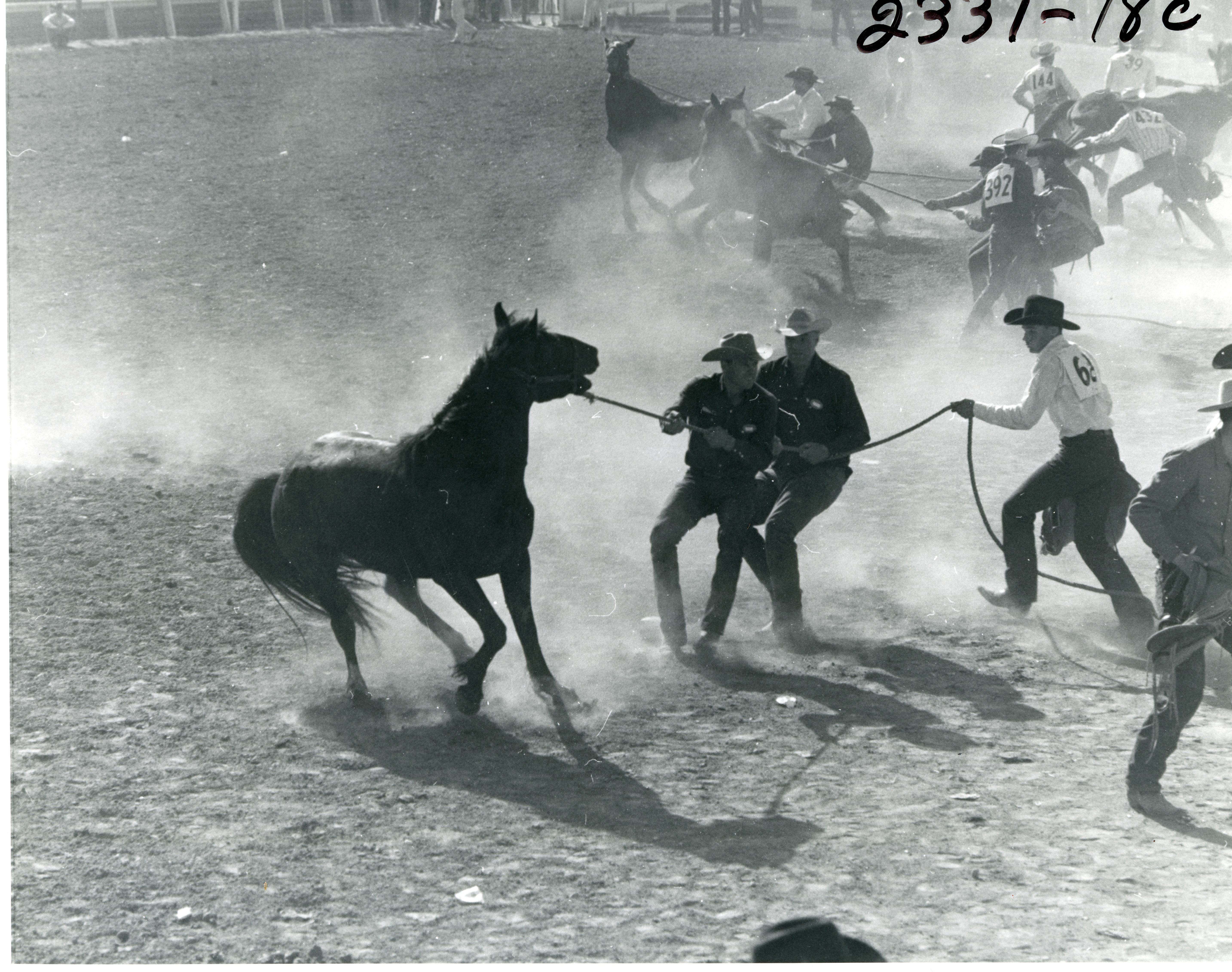 CS.1999.92.255 Wild Horse Roundup.jpg