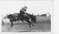 Fred Tingle, Bareback Bronc Riding Competition, no J-107 - 1938