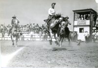 Smoky Snyder on Calico 1929