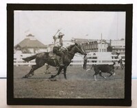 Glass Slide-  Cowboy roping a calf