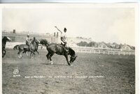 Alex Laframbois on Alberta Kid, Saddle Bronc Riding Competition, no. 98 - 1924