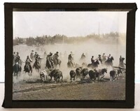 Glass Slide - Cowboys roping steers 