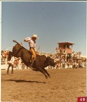 Bull Riding