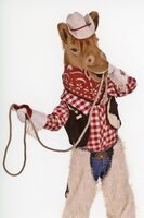 Harry the Horse with lasso