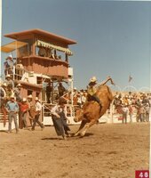 Bull Riding