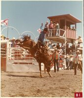 Saddle Bronc Riding