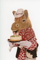 Harry the Horse with 30th Birthday Cake