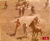 Wild Horse Race
