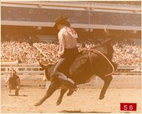 Boys' Steer Riding