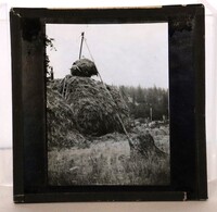 Glass Slide: Men on a haystack