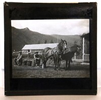 Glass Slide: 2 heavy horses and men on a farm