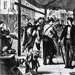 New York (City) Board of Health