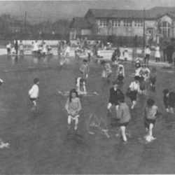 South Side Park Board of Chicago.jpg