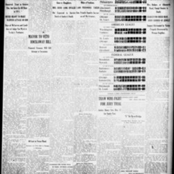 Brooklyn Daily Times.png