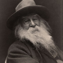Walt_Whitman.PNG