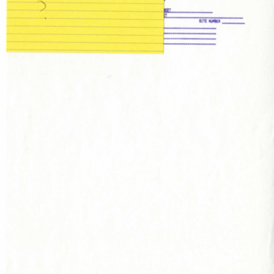 Winter Park History Historic Homes - Vitoria Ave 391 Nickolson, W. C. - 002.pdf