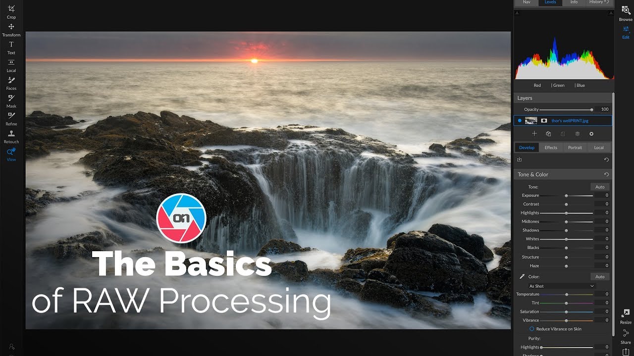 The Basics of RAW Image Processing