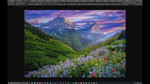 October Plus Critiques recap