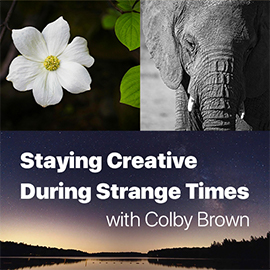 ON1 Photo Kit: Staying Creative During Strange Times