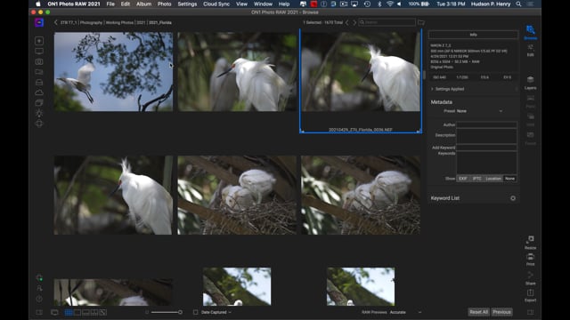 Organizing and Culling Large Photo Shoots in Browse
