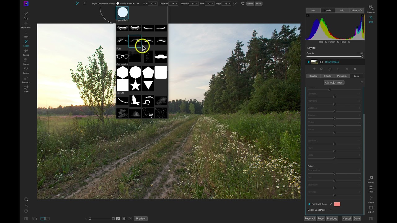 Bring Your Images to Life with Summer Brushes