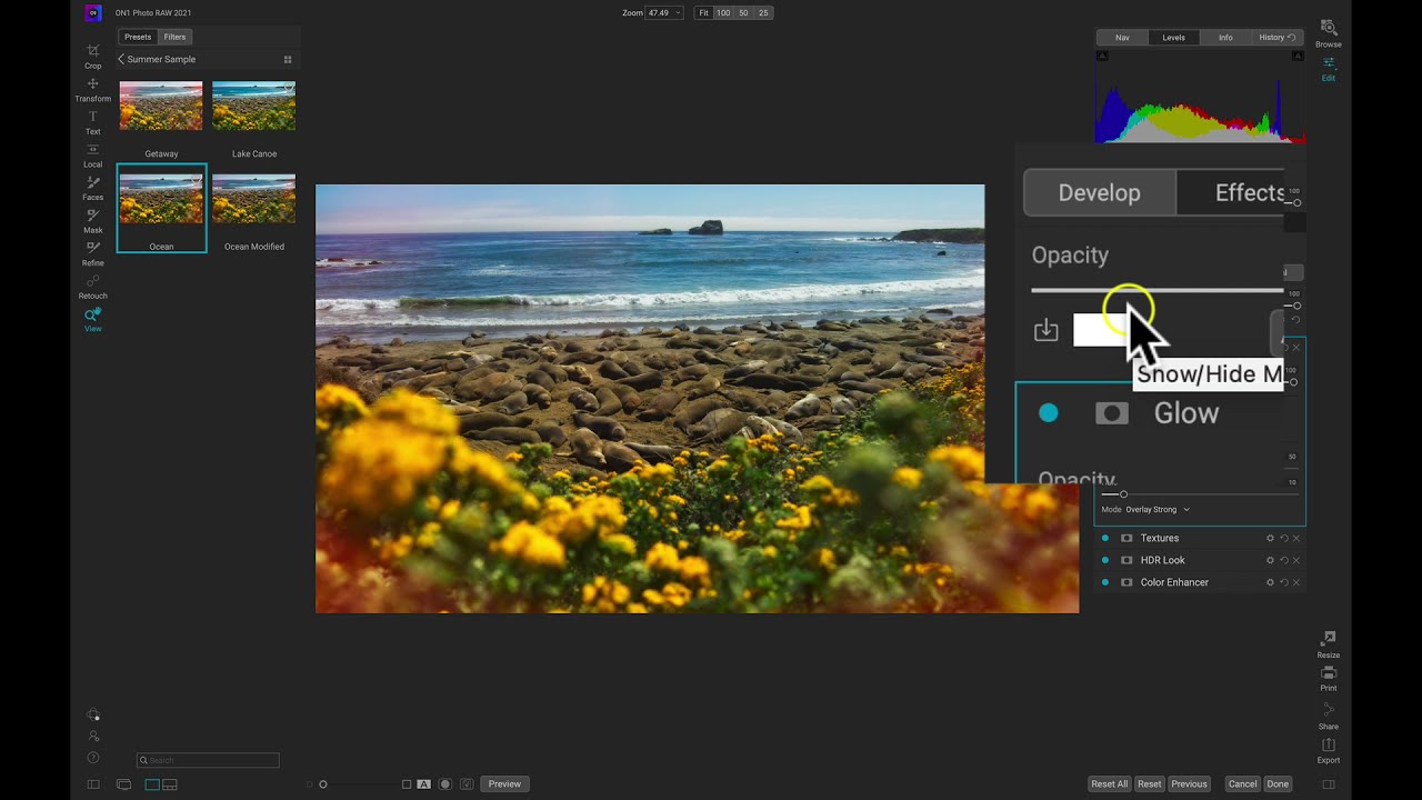 Create Unique Summer Vibes with ON1 Presets