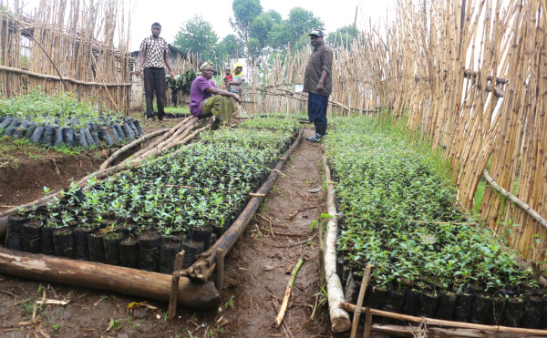 SDG13CLIMATEACTIONBLOGSIZE