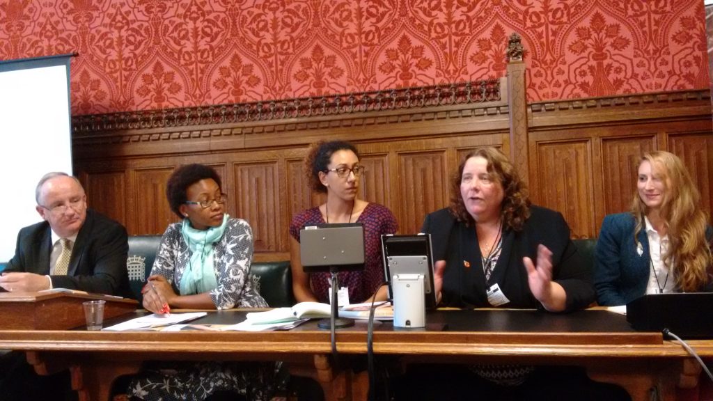 Panelists from Results UK, Concern Worldwide, the University of Westminster, and the SUN Civil Society Network at the launch of the "'What works for Nutrition? Stories of Success from Vietnam, Uganda, and Kenya" report, chaired by MP Laurence Robertson.