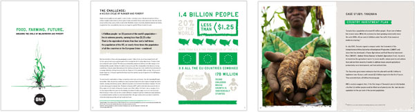 Read the Report