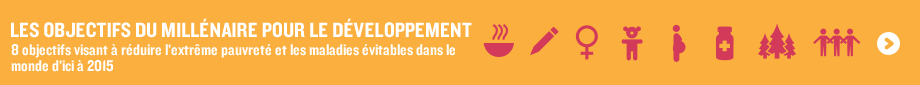 LES OBJECTIFS DU MILLÉNAIRE POUR LE DÉVELOPPEMENT 