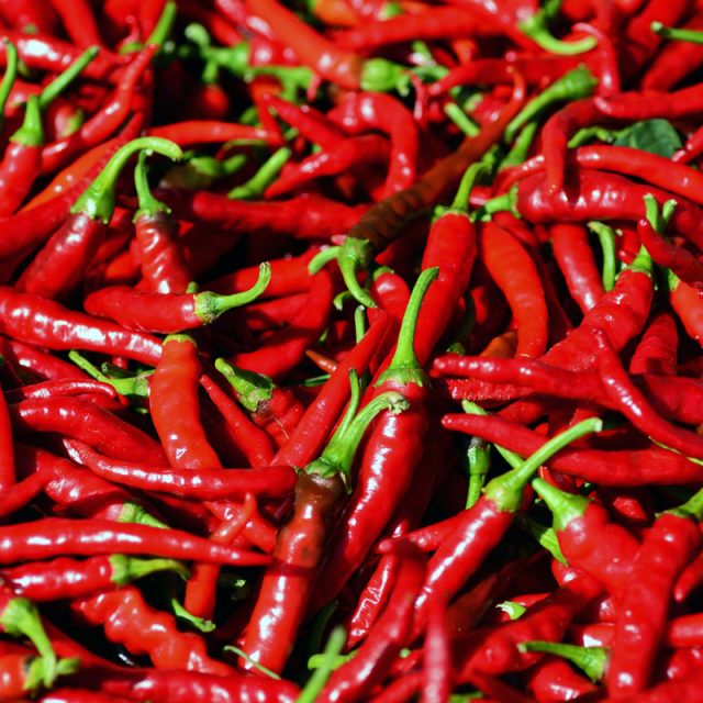 Kenya's herders fire up a hot new crop chilli peppers ONE