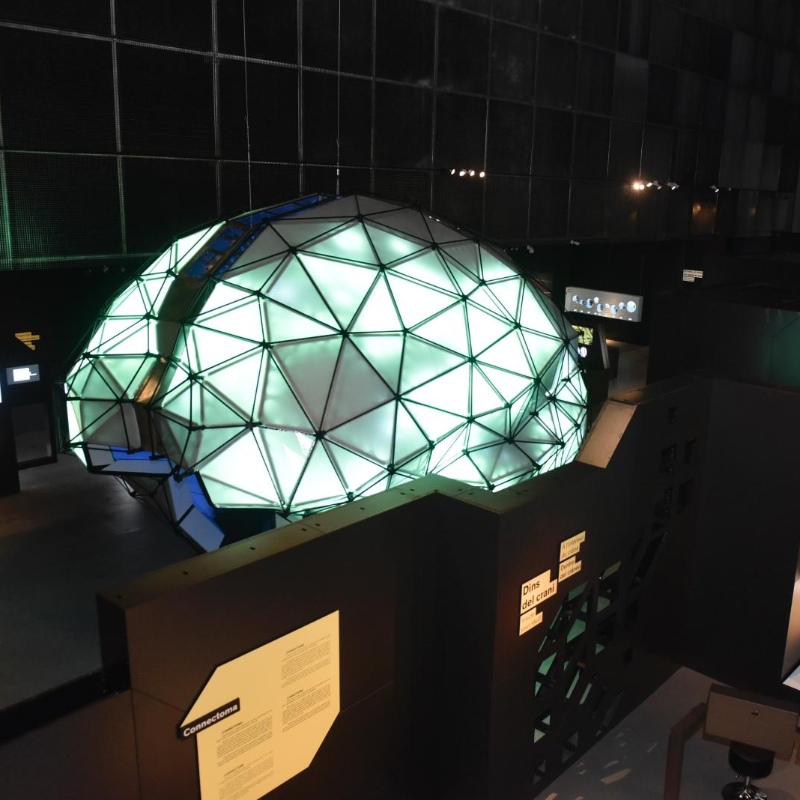 Entrada exposición 4