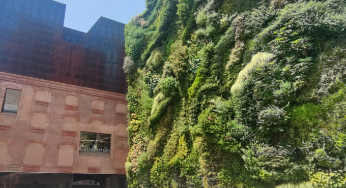 Entrada exposiciones 2026 1