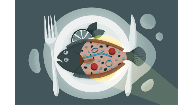 ¿Estamos comiendo plástico? 1