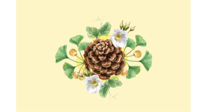 Taller de ilustración científica en familia: El Jardín Vertical (+8 años) 1