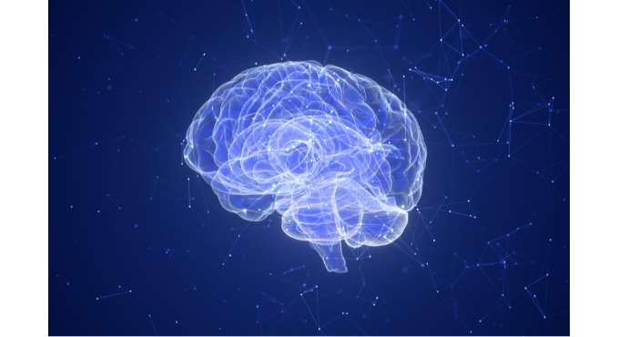 El cervell que il·lusiona 1