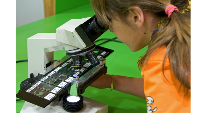 El mundo de la célula (+10) 1