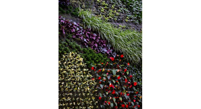 Visita-taller familiar: Miradas ordenadas (+8) 1