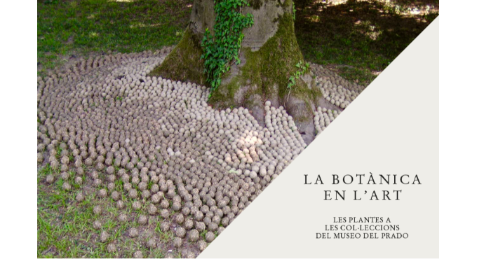 Instal·lació participativa amb Lluís Sabadell 1