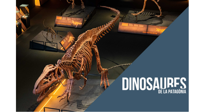 Visita comentada: Dinosaures de la Patagònia 1