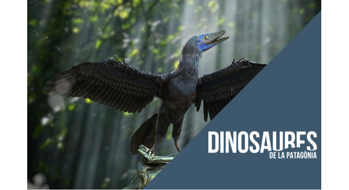 Realment extints? Dinosaures teròpodes i la transició cap a les aus 1